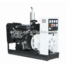 Yangdong brand china generator factory with OEM offer